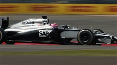 Pilot McLarenu Jenson Button závodí na domácím okruhu Silverstone.