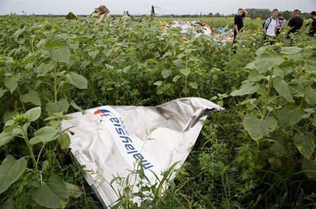 Matka jedné z nmecké obti MH17 aluje Kyjev (ilustraní foto)