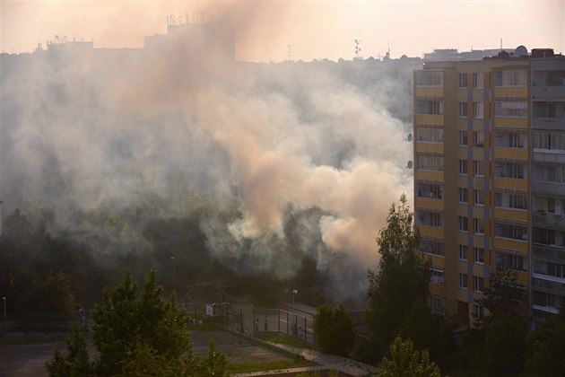 Valící se kou vypadal na daleko vtí netstí. lo ale jen o hoící tje,...