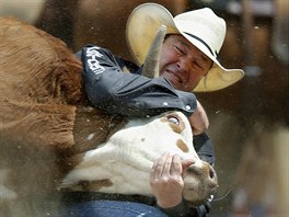 RODEO. Billy Bugenig svádí v americkém Calgary souboj s býkem. Na rozdíl od...