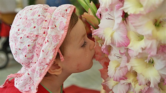 Na zmku v irovnici se kon vstava kvtin, hlavn pak lili. Na snmku jsou meky od pstitele Jaroslava Kovaka.