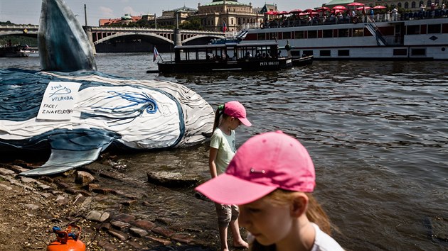 Na Vltavu byla v sobotu jako soust umleckho projektu ern MOE sputna desetimetrov velryba vytvoen z recyklovanho odpadu.