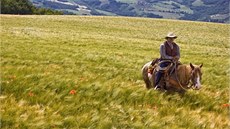 Ran Nevada nabízí projíky na koních pro zaáteníky i pokroilé