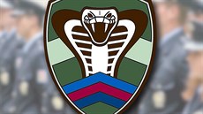 logo týmu Kobra logo týmu Kobra
