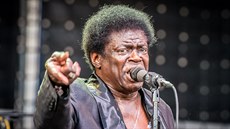 Colours of Ostrava 2014: Charles Bradley