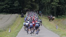 POD KLENBU STROM. Peleton v jedenácté etap Tour de France. 