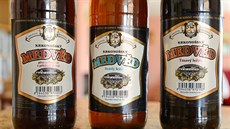 Pivo Krkonoský medvd mete ochutnat i s píchutí tení.