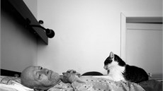 Pacienty na pokojích obveselují tři společné kočky. Pacienty na pokojích obveselují tři společné kočky.