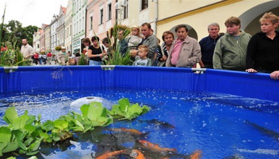 Základem rybáských slavností v Teboni jsou prezentace rybáského emesla a...