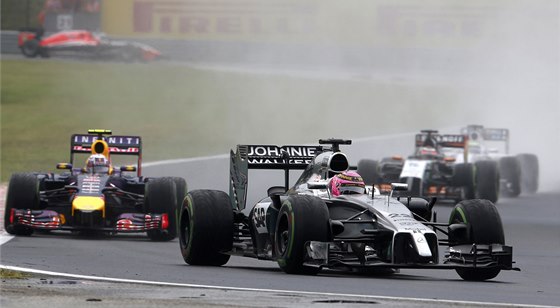 JEN NA CHVÍLI. Jenson Button v ele Velké ceny Maarska F1.
