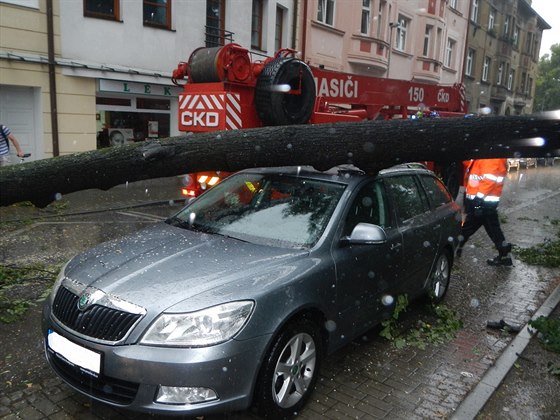 V eských Budjovicích spadly stromy na dv vozidla.