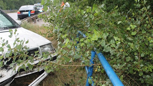 Nehoda BMW a kody Felicie mezi Beclav a Hodonnem (21. ervence, 2014).