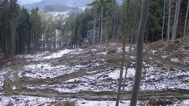 Obyvatel Machovsk Lhoty na Nchodsku si stovali na necitliv zsahy v lese v zim 2013/2014.