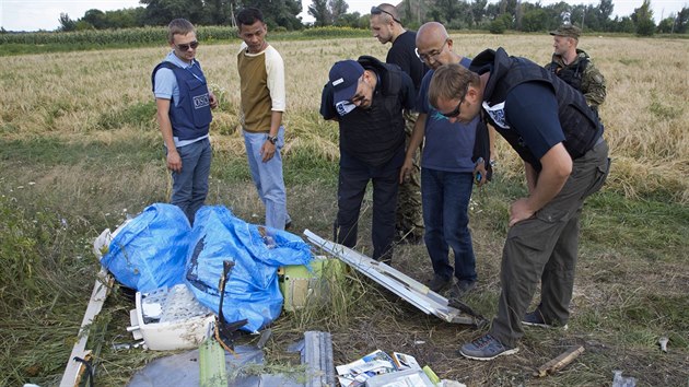 Vyetovatel OBSE prohlej trosky Boeingu 777 blzko vsi Petropavlivka. (Ukrajina, 23. ervence 2014)