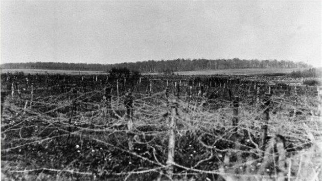Zemi nikoho u francouzskho msta Ancerviller pokryly ostnat drty (25. dubna 1918).