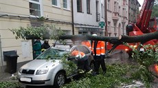 V eských Budjovicích spadly stromy na dv vozidla.