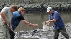 Pracovníci povodí a rybáři vylovili z řeky chráněné živočichy. Pracovníci povodí a rybáři vylovili z řeky chráněné živočichy.