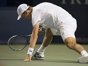esk tenista Tom Berdych poteboval na turnaji v Torontu k postupu vce ne...