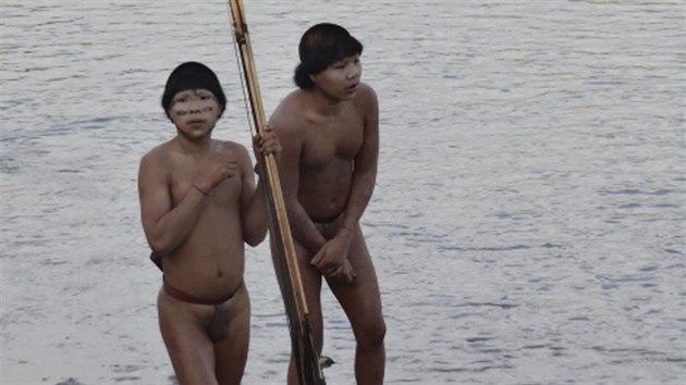 lenov dosud nekontaktovanho kmene stoj na behu amazonsk eky Enviry. Krtce pedtm se vynoili z hustho pralesa.