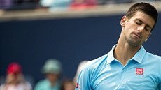 Novak Djokovi na turnaji v Torontu