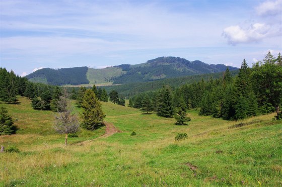 Lopuná dolina pod Kozím kamenem (1 255 m)