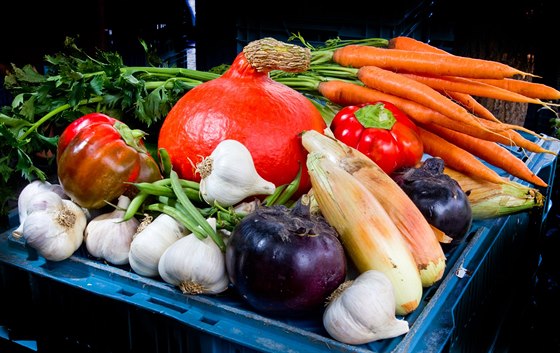 Vegetariáni asto tvrdí, e vechny iviny dleité pro tlo zle získat z rostlinné stravy.