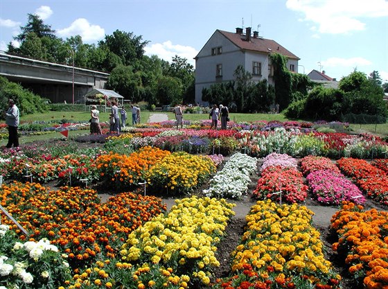 Na okrasných polích te kvetou tapatky, ostálky, sanvitálie a ada dalích kvtin. lechtí tu begonie, petúnie a pelargonie.