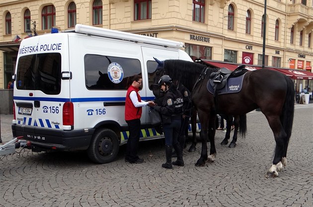 Mstská policie (ilustraní foto)