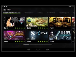 Displej Nvidia Shield Tablet