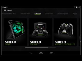 Displej Nvidia Shield Tablet