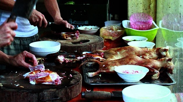 Pprava koiho masa v hanojsk restauraci. (erven 2014).