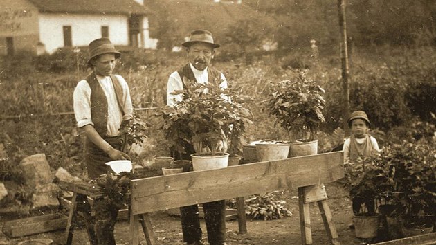 Frantiek ern opustil spnou kariru zmeckho zahradnka a pienil se do Jarome do rodiny Hlavkovch. Snmek pochz z 20. let 20. stolet, vlevo je uednk, vpravo je nevlastn syn, kterho Frantiek ern vyenil.