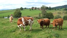 Idylka na Slunečné Idylka na Slunečné