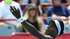 PODÁVÁM. Americká tenistka Venus Williams ve finále turnaje v Montrealu.