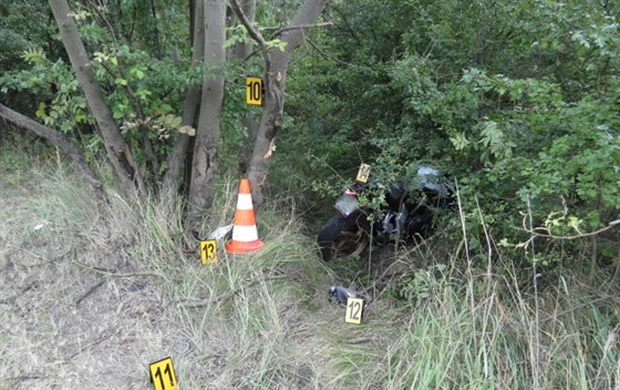 Motorká nezvládl zatáku a narazil se svým strojem do stromu u silnice.