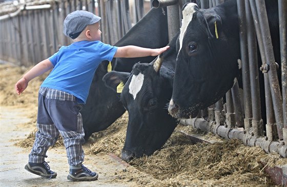 Den pro veejnost na farm Brodinových v Úhoilce na Havlíkobrodsku.