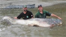 Matteo De Grandi (u hlavy sumce) a Manuel Oltramari s 264 cm dlouhým sumcem.