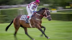 ÚSPĚŠNÁ KVALIFIKACE. Nestárnoucí žokej Josef Váňa může v říjnu přidat devátý... ÚSPĚŠNÁ KVALIFIKACE. Nestárnoucí žokej Josef Váňa může v říjnu přidat devátý...