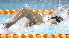 Americká plavkyně Katie Ledecká závodí na Panpacifickém šampionátu v Americká plavkyně Katie Ledecká závodí na Panpacifickém šampionátu v