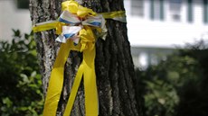 Stuha na strom ped domem rodi zavradného novináe Jamese Foleyho v...
