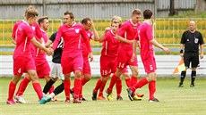 Radost hráčů Hvězdy Cheb po vstřeleném gólu Radost hráčů Hvězdy Cheb po vstřeleném gólu