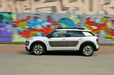 Citron C4 Cactus