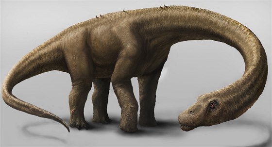 Obraz Dreadnoughtus, jeho kosti objevili vdci v Argentin.