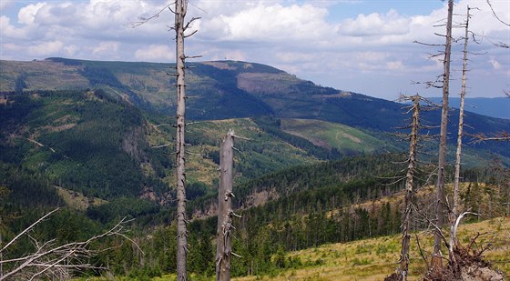 Nejvyí hora Slezských Beskyd: Skrzyczne (1257 m)