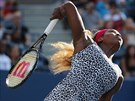 Serena Williamsov ve finle US Open