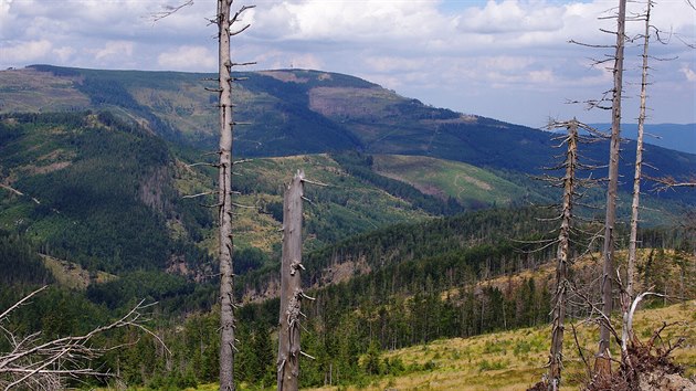 Nejvy hora Slezskch Beskyd: Skrzyczne (1257 m)