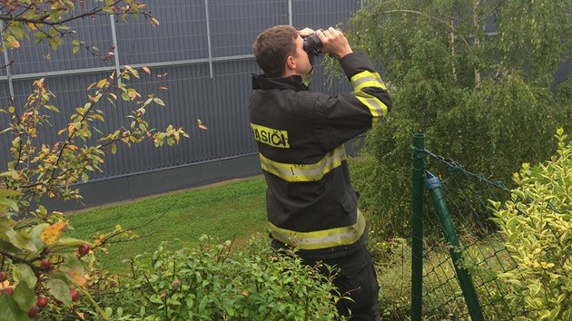 Pestoe papouek uletl od domova velkou vzdlenost a byl siln zmokl, zvldl hasim opakovan ulett.