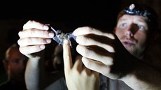Netopýří noc na Chebském hradě. Přemysl Tájek z CHKO Slavkovský les ukazuje Netopýří noc na Chebském hradě. Přemysl Tájek z CHKO Slavkovský les ukazuje