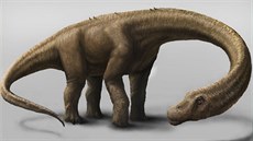 Obraz Dreadnoughtus, jehož kosti objevili vědci v Argentině. Obraz Dreadnoughtus, jehož kosti objevili vědci v Argentině.