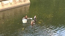 Pracovníci Povodí Moravy společně s rybáři o víkendu vytahovali z Vranovské... Pracovníci Povodí Moravy společně s rybáři o víkendu vytahovali z Vranovské...